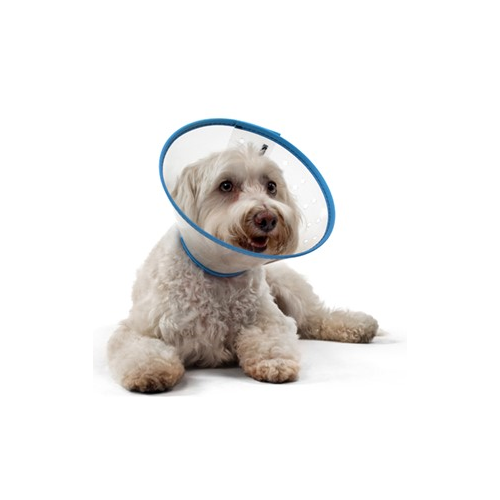 Safety Collar Medium-Large Dog 20cm
