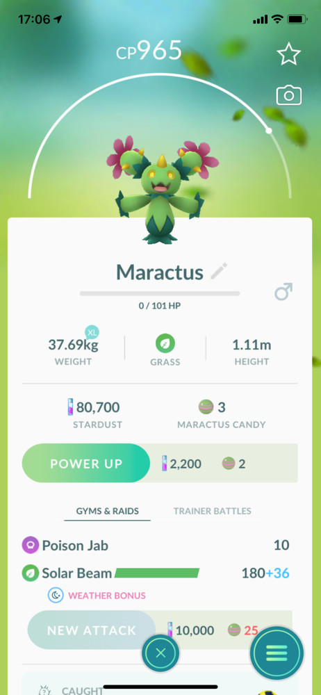 Pokemon - #556 Maractus !! Same Day Shippment or Next Day Guaranteed ! Go