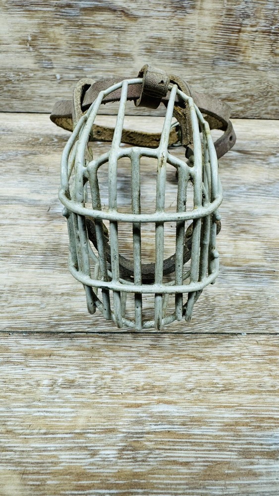 Vintage Small Wire Basket Dog Muzzle
