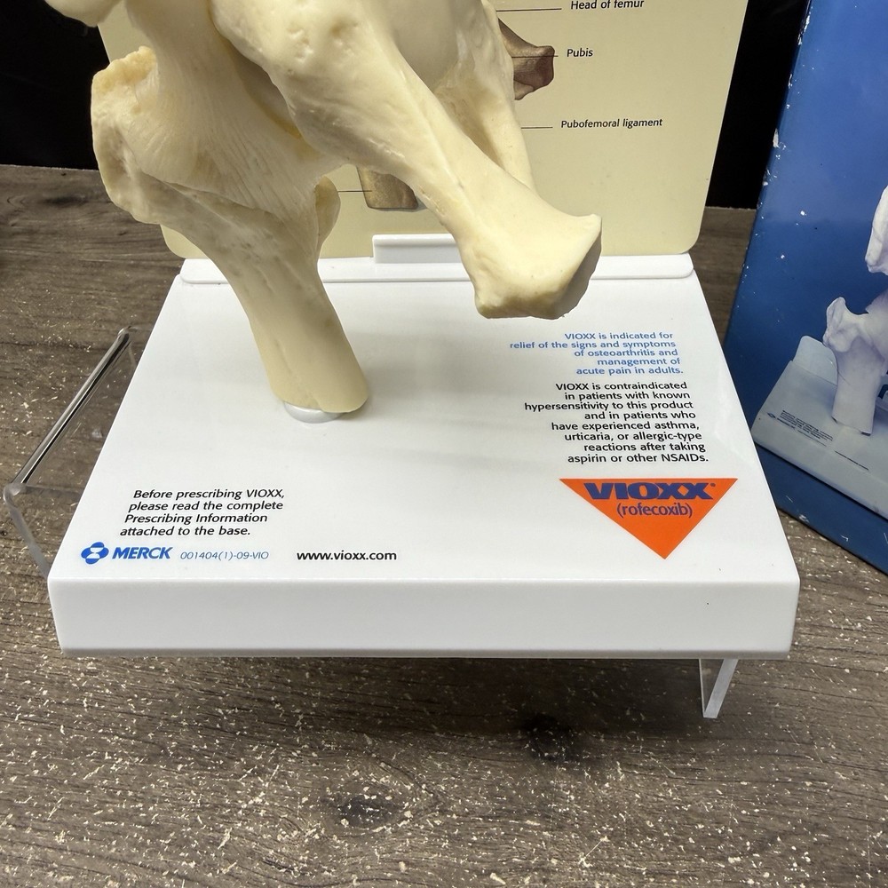 Merck Vioxx Hip Model Anatomic Hip Display Model Original Box