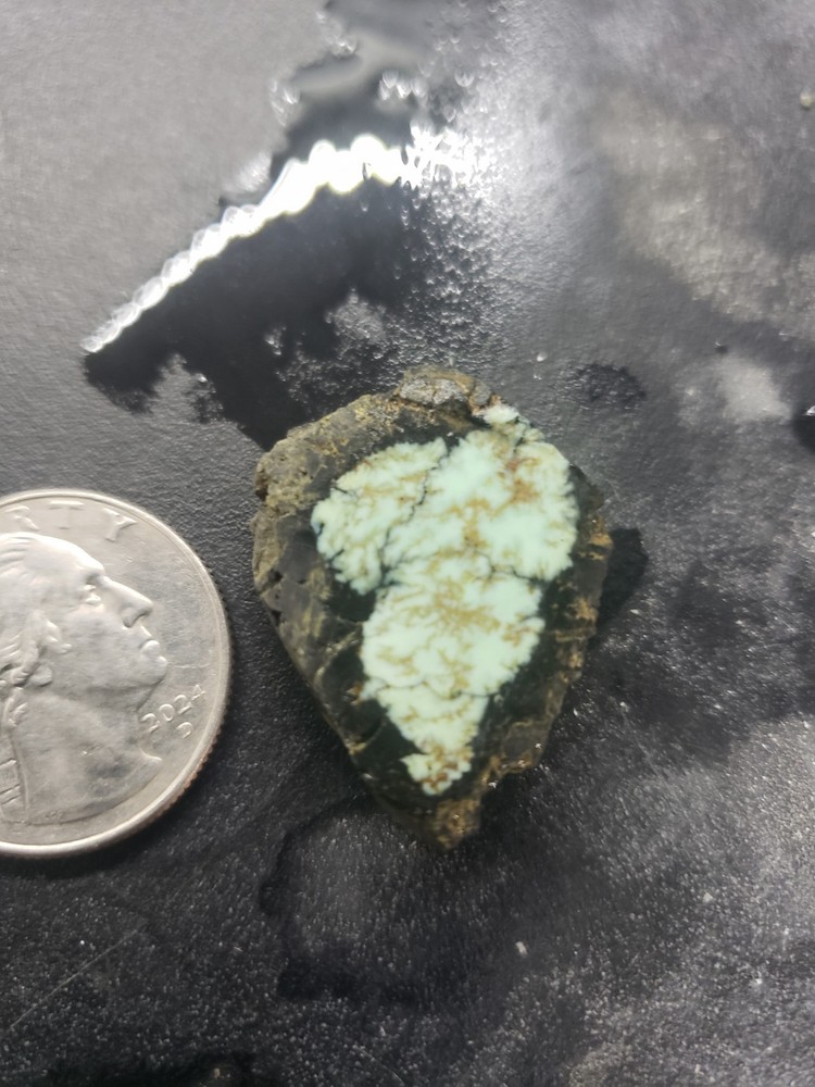 Saguaro Variscite Slab