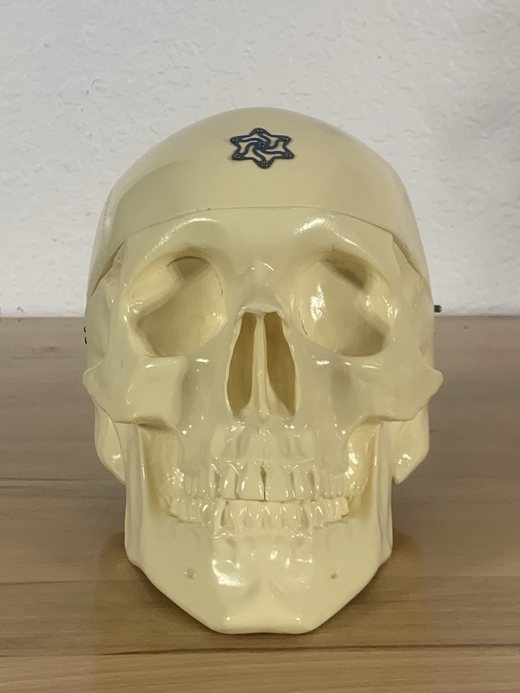 Anatomically Correct Life Size Skull Removable Cranium & Brain Teaching Aid