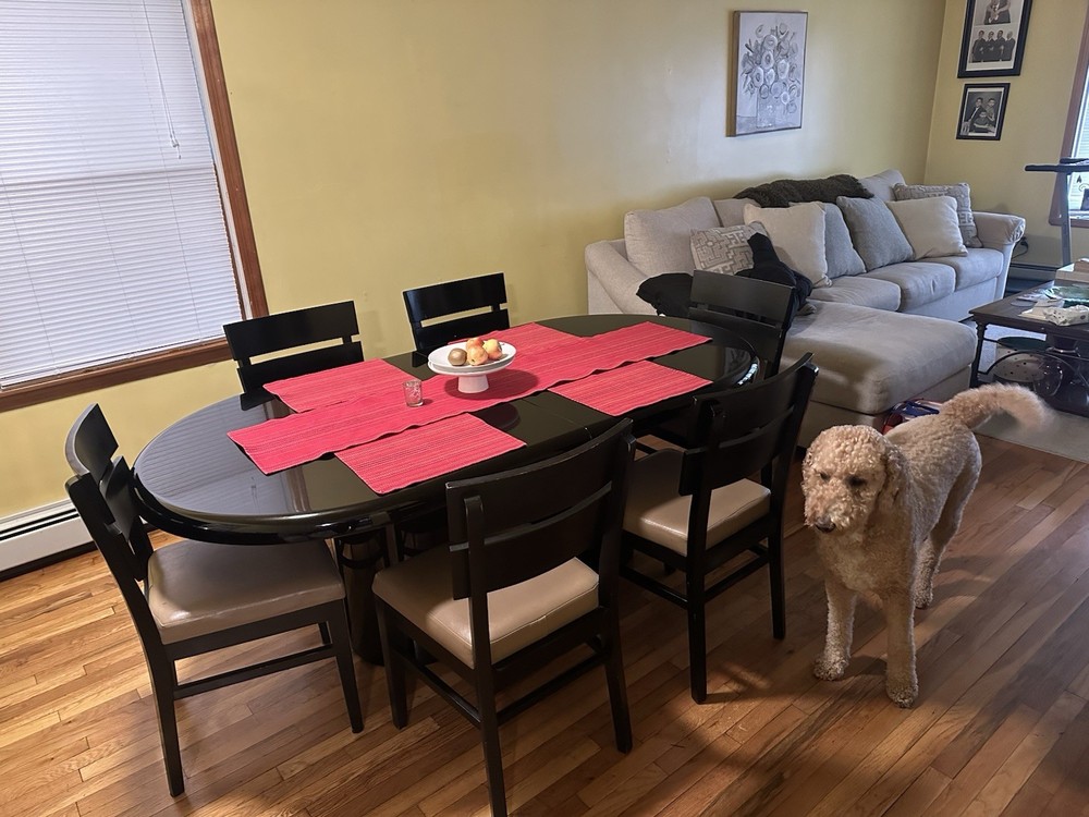 Black Oval Expandable Dining Table & 8 Chairs - Sits 10