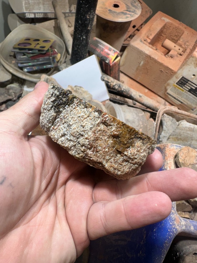 Dinosaur bone rough **hxtled end cut.