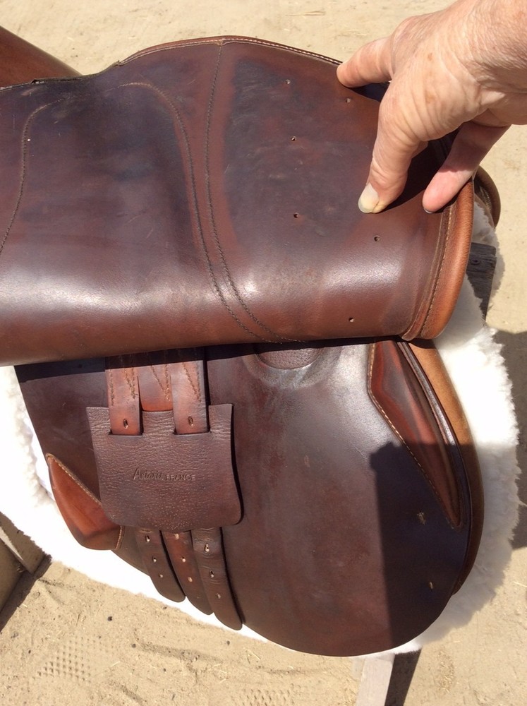 Antares Jumping Saddle, 16.5"