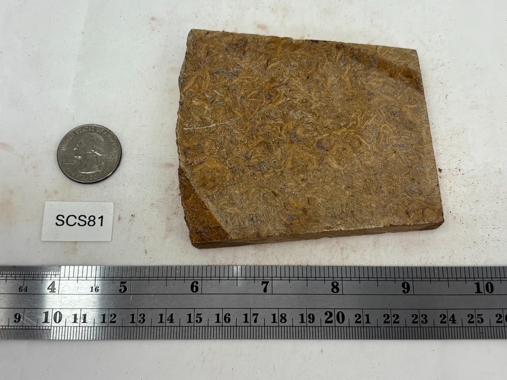 Script Stone Jasper Slab Cabbing Lapidary Collecting Combo Ship Avail