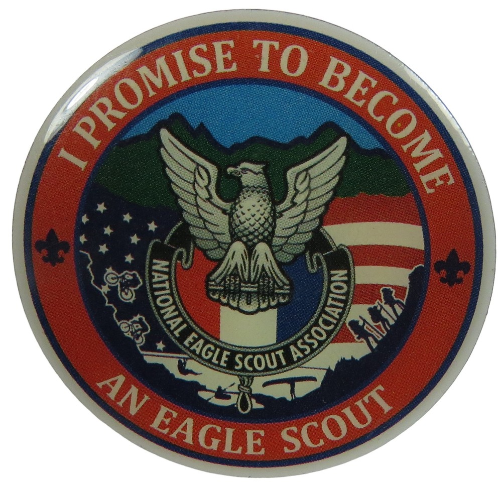 Eagle Rank Promotion Hat Pin (PIN-4134)