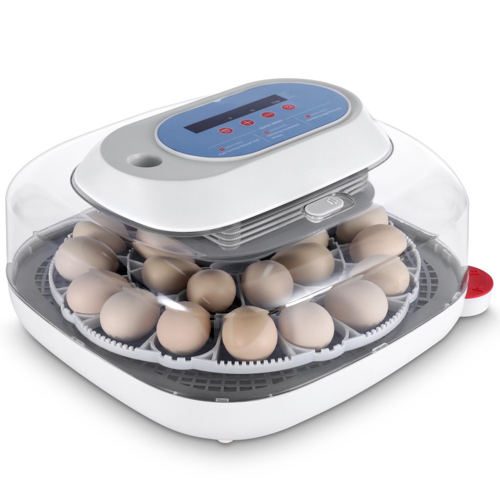 12/24 Eggs Incubator Automatic Turning Chicken Hatcher Incubators Hatching Eggs