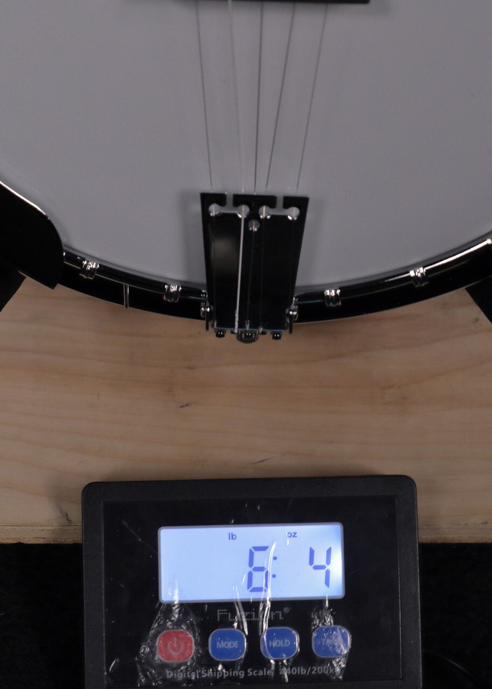 Washburn Americana B10 5-String Banjo Sunburst Gloss