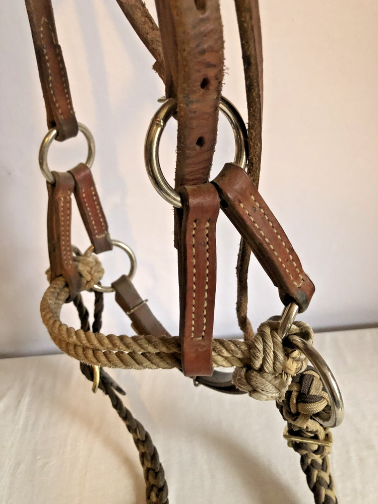Leather Deluxe Latigo Double Rope Side Pull with braided Roping Style Reins
