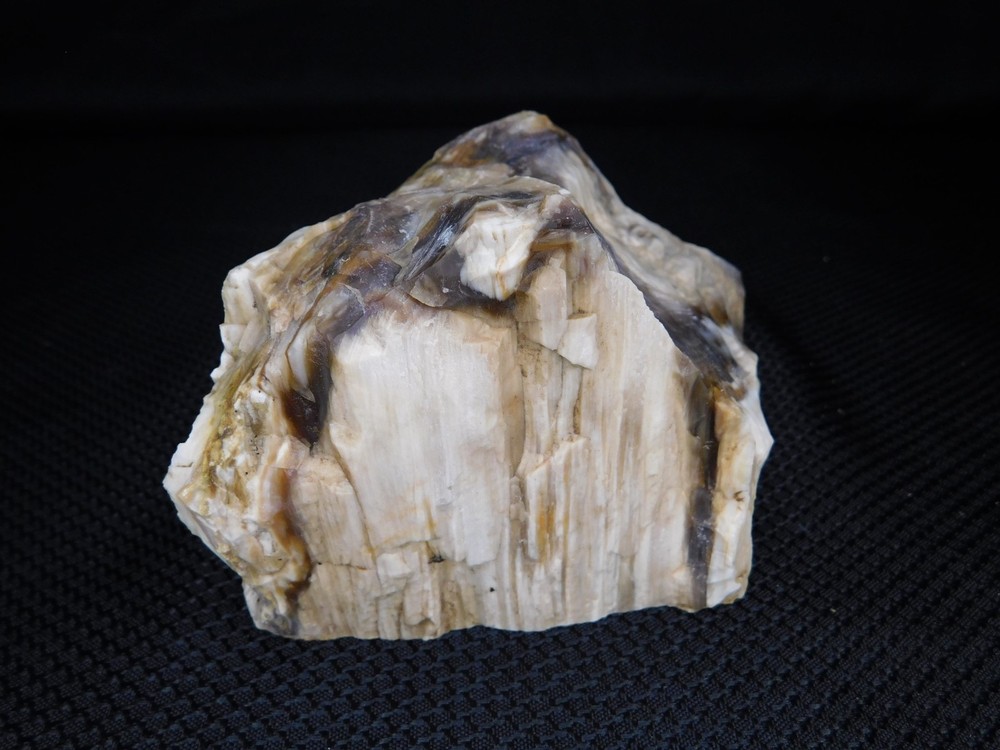 Petrified Wood Opalized Cut Display Specimen 2 lbs. 14 oz.