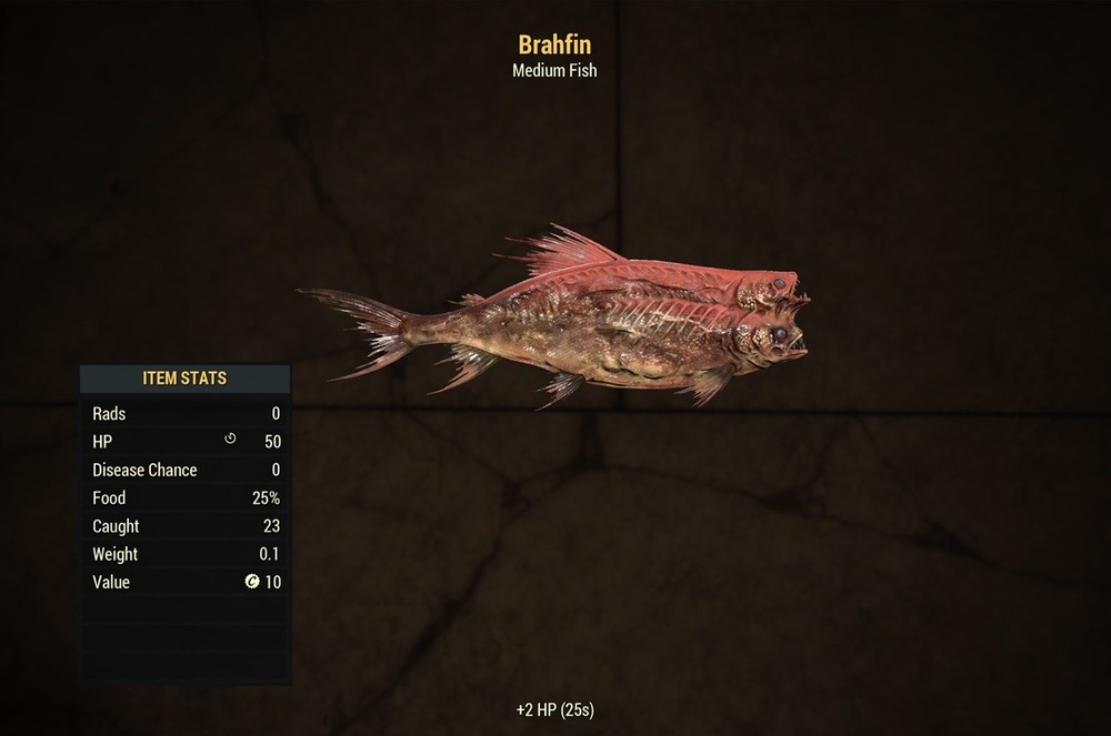 (Xbox) All New Burning Springs Fish