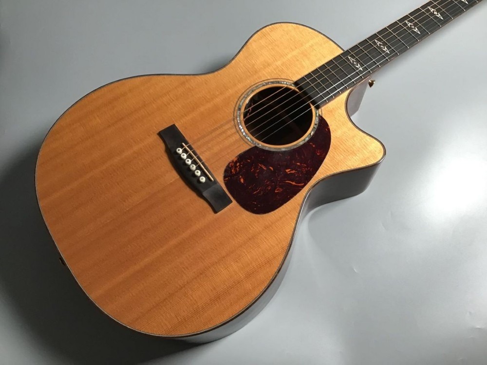 Martin GPCPA1 Plus