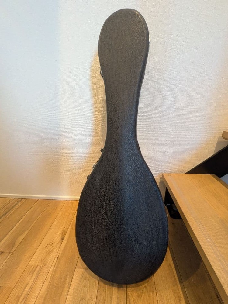 SUZUKI Mandola MD-4 with hard case