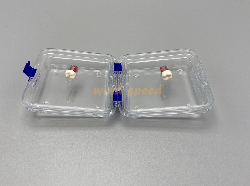 Denture Hinged Display Box Storage Jewelry Chip Boxes False Teeth Membrane Case