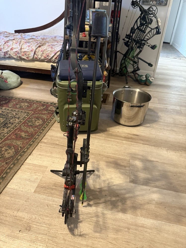Bowtech Insanity cpx rt hand 60 pounds great bow