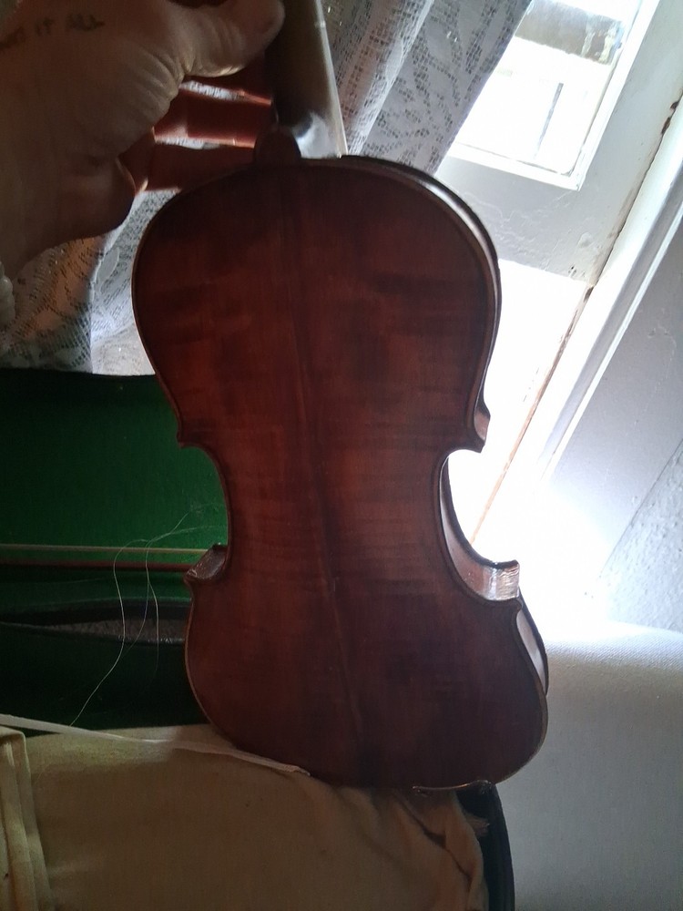 Violin