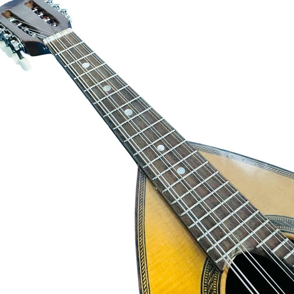 SUZUKI Mandolin NO230