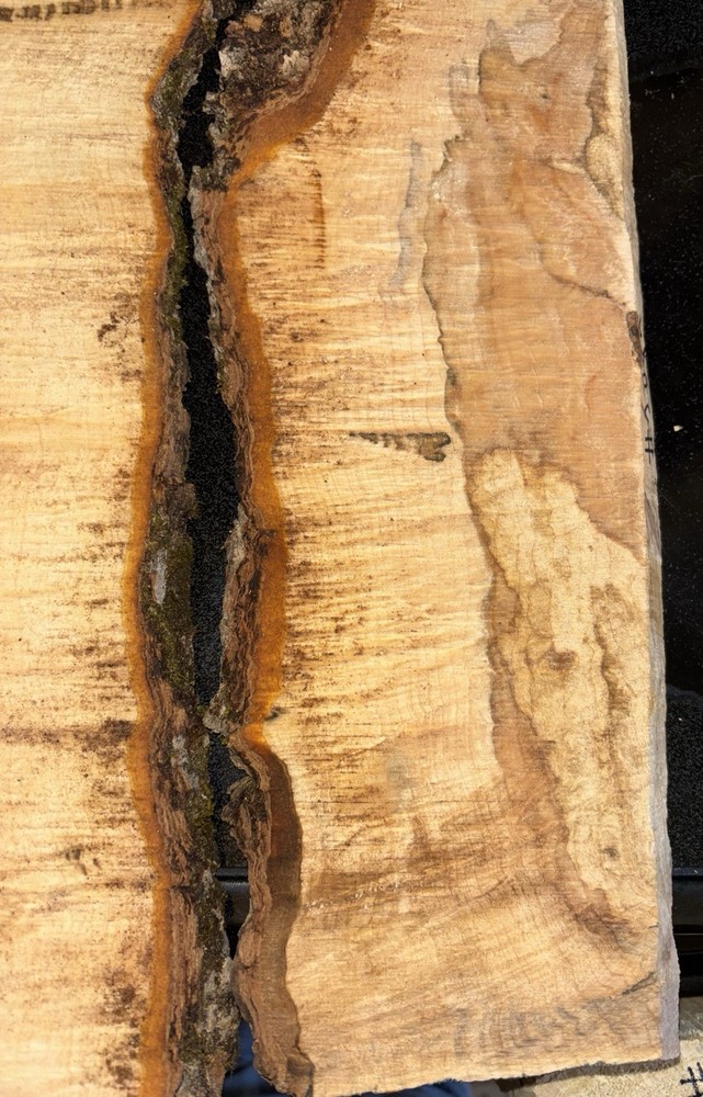 Curly Maple Slabs - 2 Pc Craft Bundle #2085