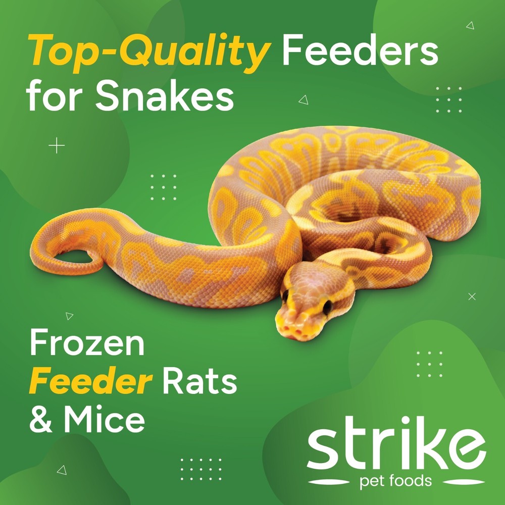 Strike Frozen Mice All Sizes and Quantities- Free S&H! Bundle to Save!