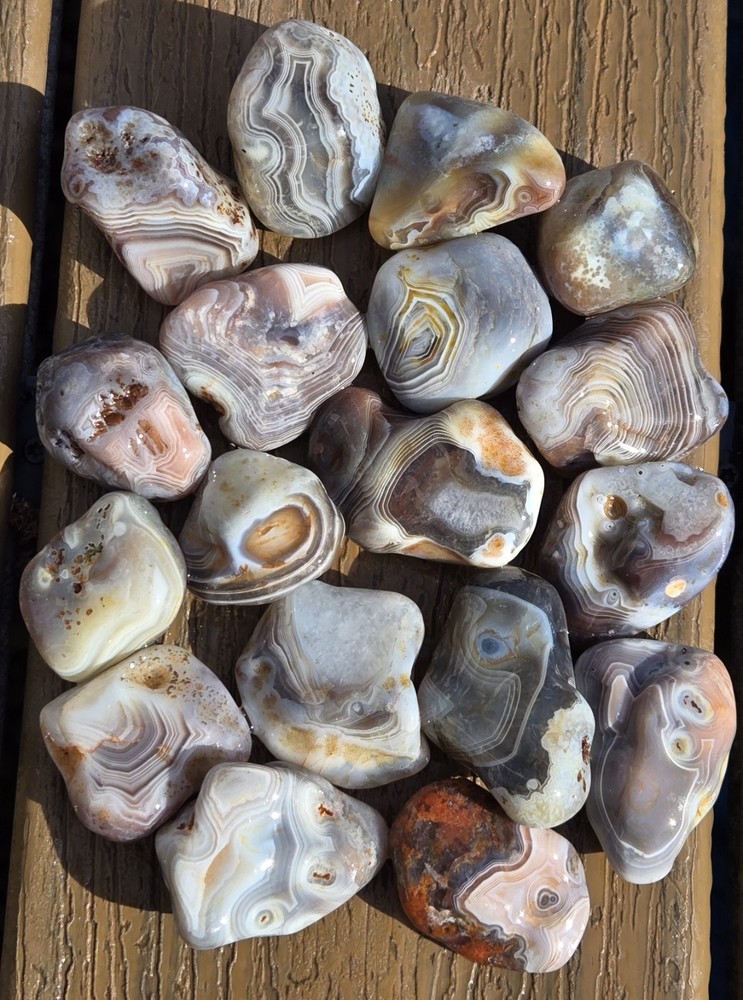 Botswana Agate Selects - WILD ONES - Rough, Natural, Not Polished A+ Grade