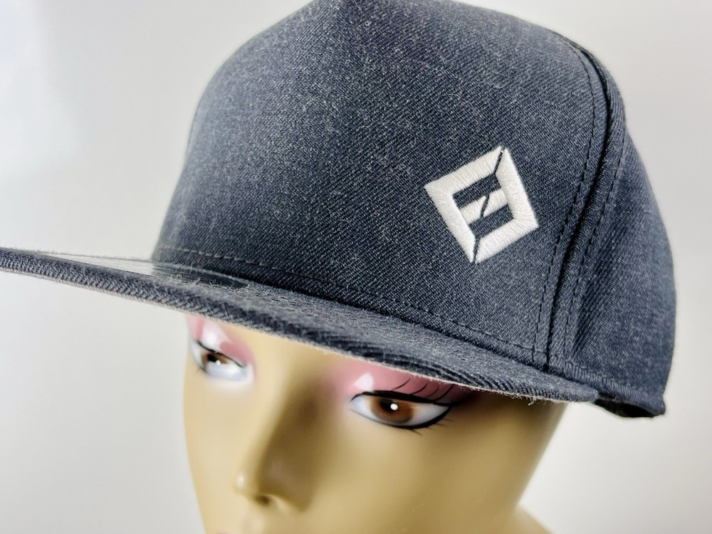 Foo Fighters Embroidered Logo Gray Snapback Hat Rock N Roll