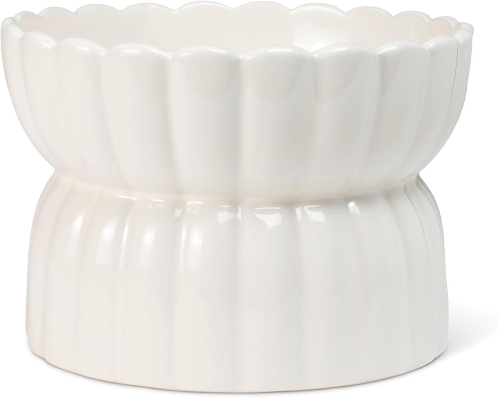 Studio Scalloped Ivory Medium Sculpted Raised Ceramic Feeder (6.5" Diameter X 4.