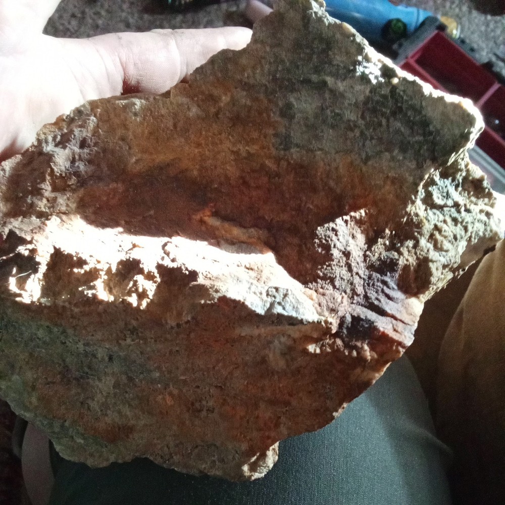 Nor Cal Gold Ore