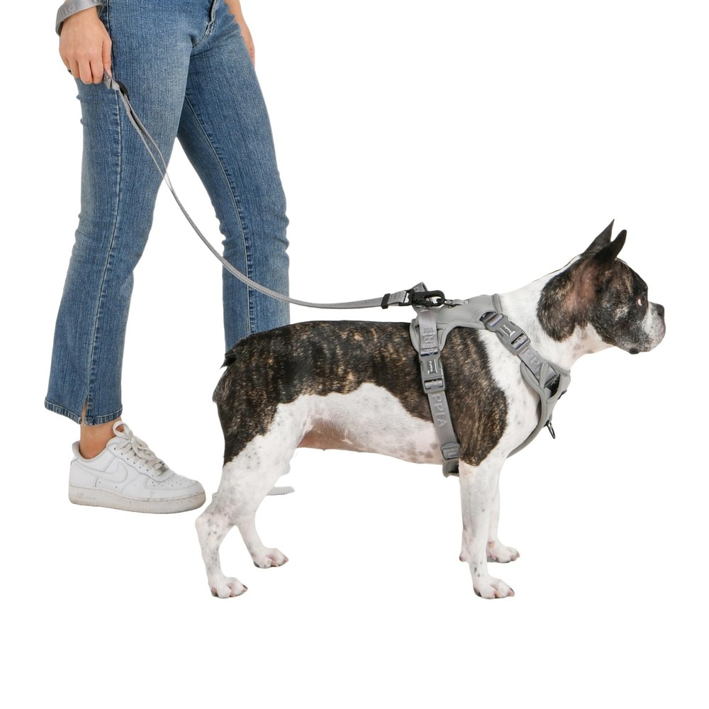 Dog Harness Comfortable Sturdy Handle Adjustable Neck Chest Grey Size L