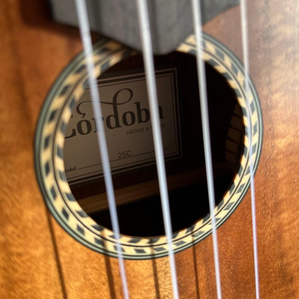 Cordoba ukulele c25