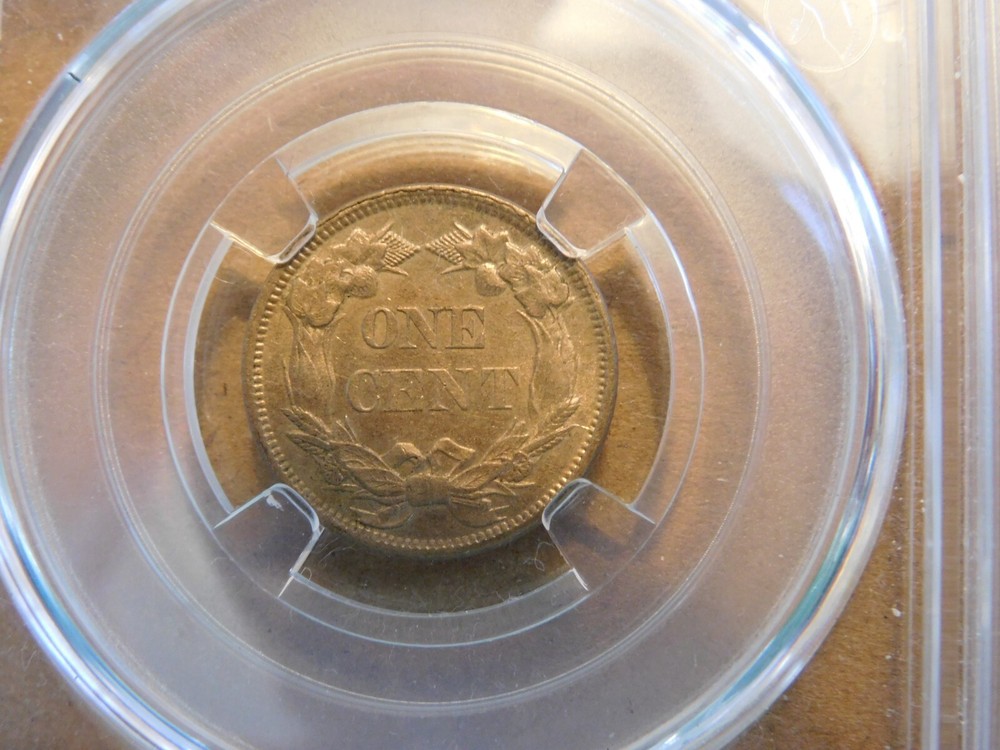 1858 FLYING EAGLE CENT SMALL LETTERS ( UNCIRCULATED )