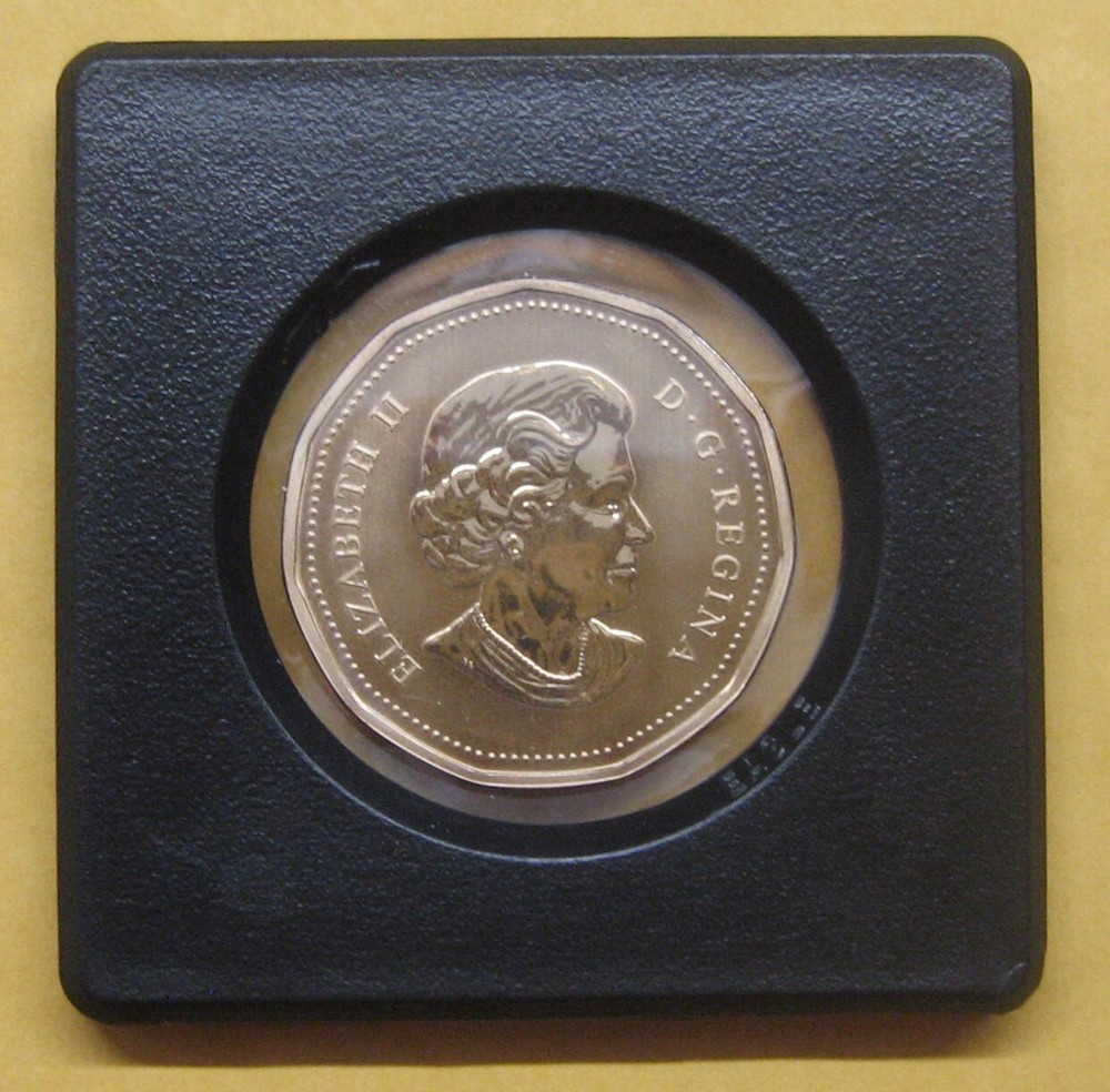 2004 Canada Geese Loonie Specimen Take a Look