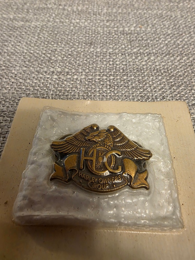 Harley Owner's Group Pin