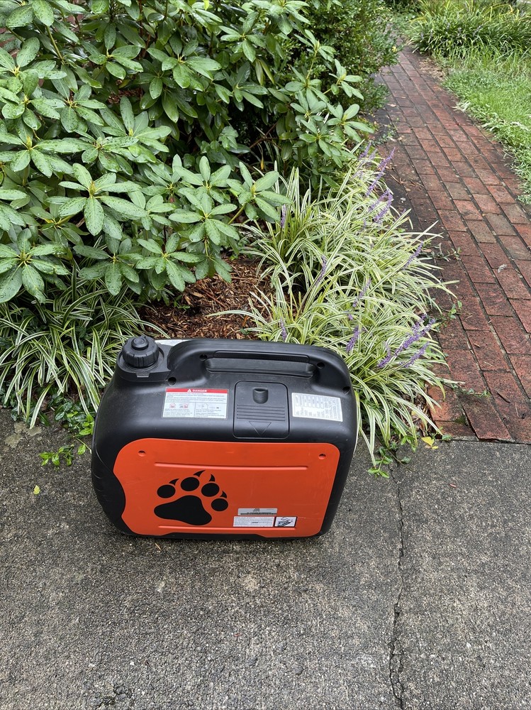 Echo Bear Cat Generator IG2000