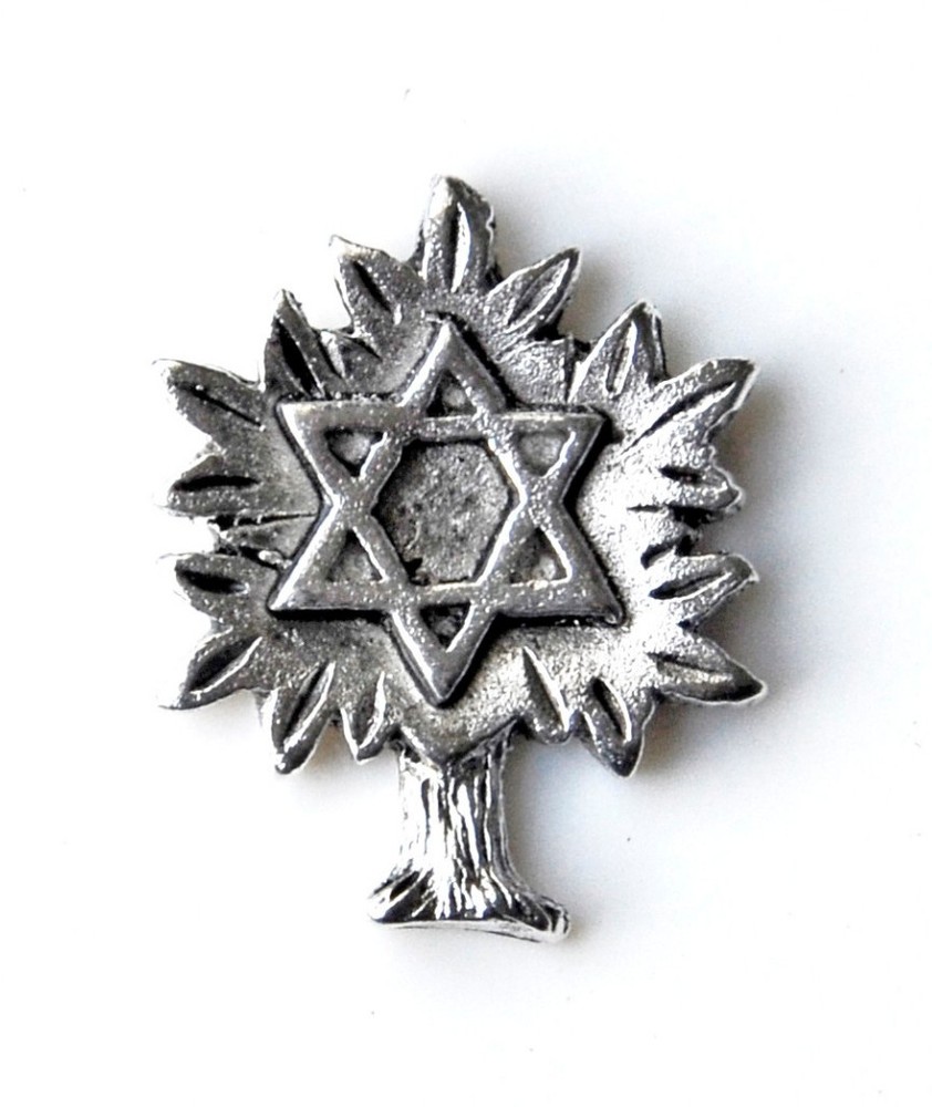Star of David Lapel Pin