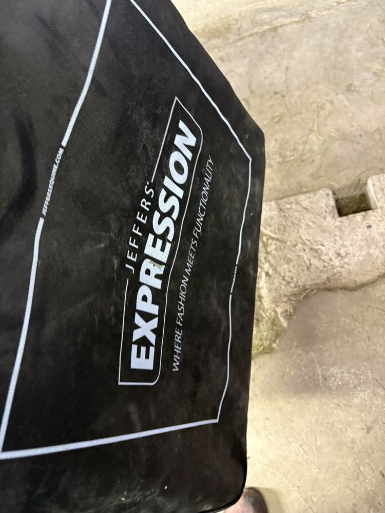 Horse Winter Blanket