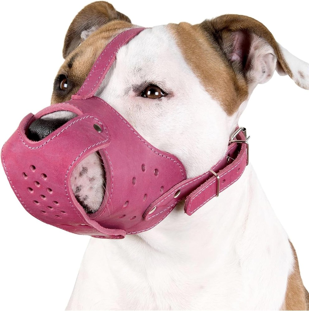 Adjustable Basket Muzzle for Staffordshire Terrier