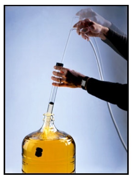 REGULAR EASY SIPHON KIT 3/8" Racking Cane w/ HOSE & CLAMP AUTO EASY SIPHON START