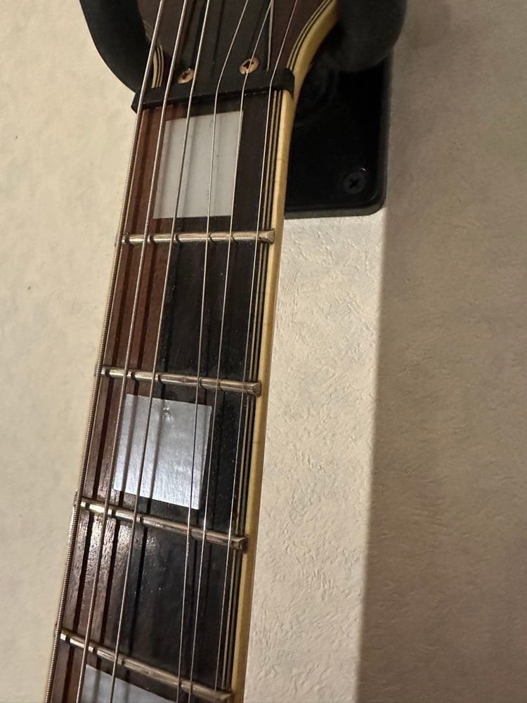 Aria Pro II PE-DLX Safe Packing!