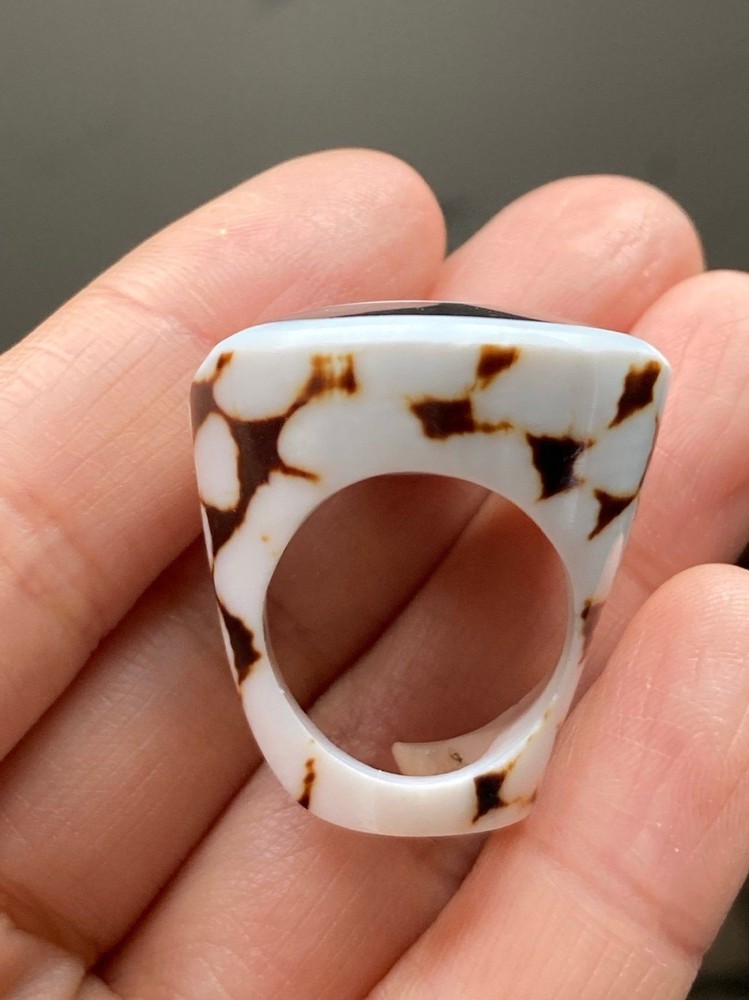 Pretty black white abalone center shell ring size 5.25