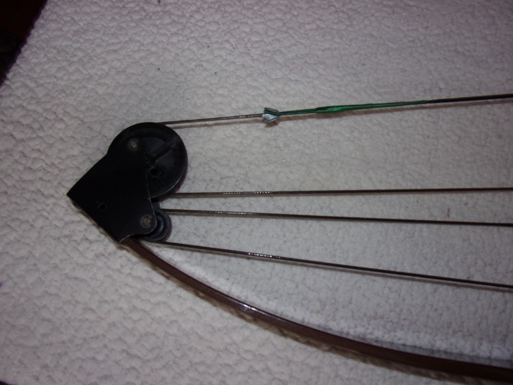 Bear Whitetail Hunter Compound Bow Later Model