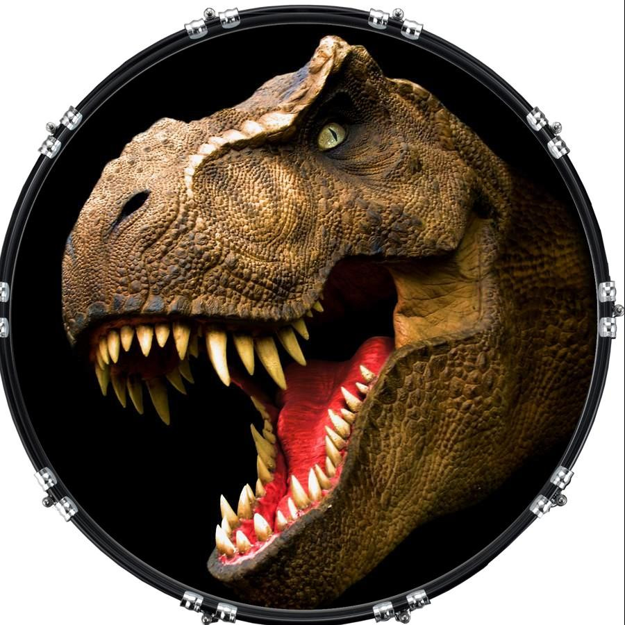 20" Custom Bass Kick Drum Front Head Graphical Dinosaur Raptor
