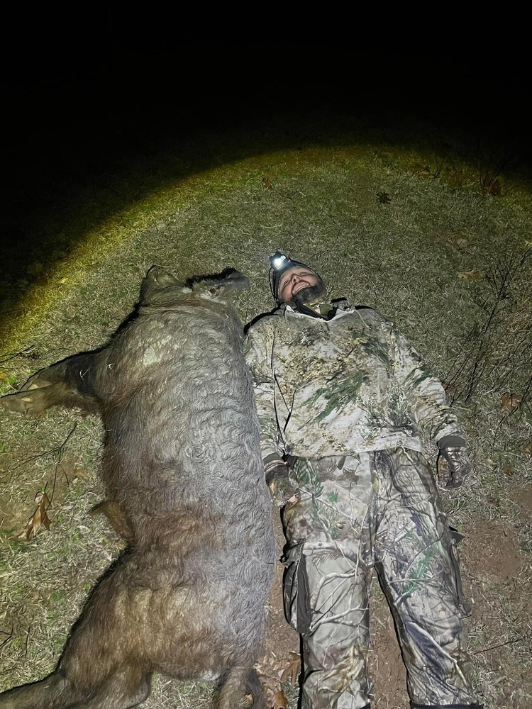 Semi Guided Wild Hog Hunts In Oklahoma