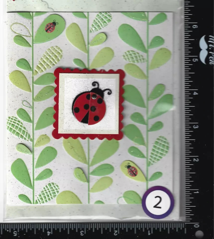 (I) - 1 card blank inside Embellished with Envelope