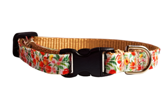 3/8" Peach Dog Collar, Leash, or Harness