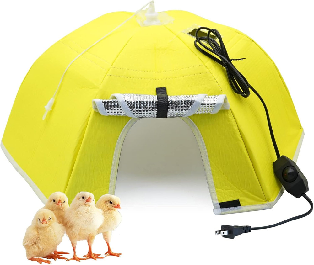 Large Chick Brooder Heating Plate Chick Brooder Box 21.6" Heat up to 50 Chicks