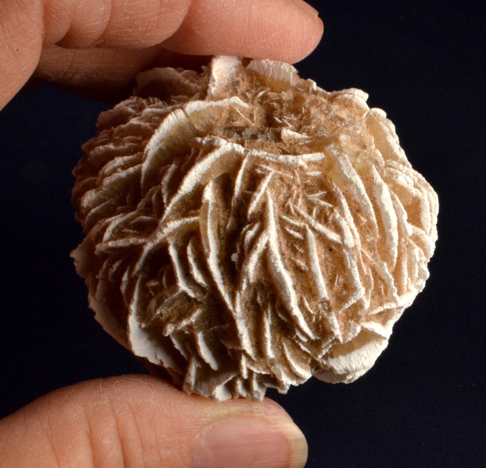 #8880 Selenite "Desert Rose" - Mexico