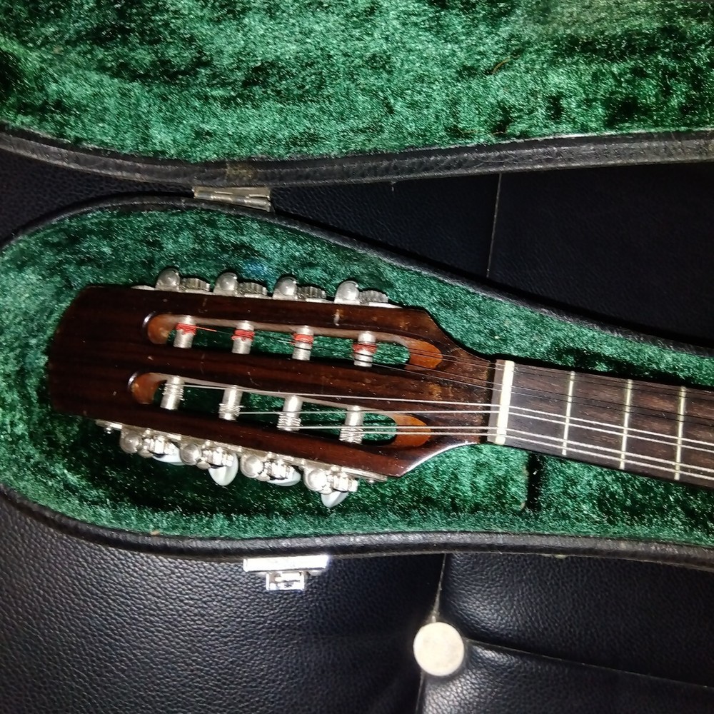 String instrument mandolin with case