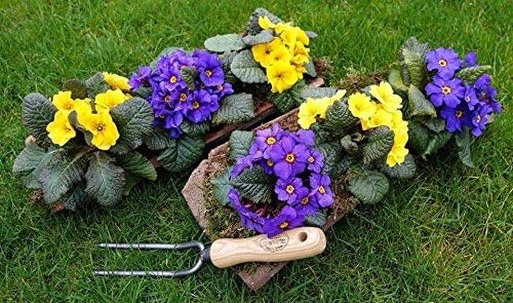 2 Prong Weeding Fork with Short Handle