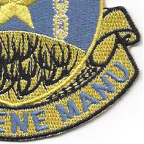 920th Air Base Security Battalion Patch